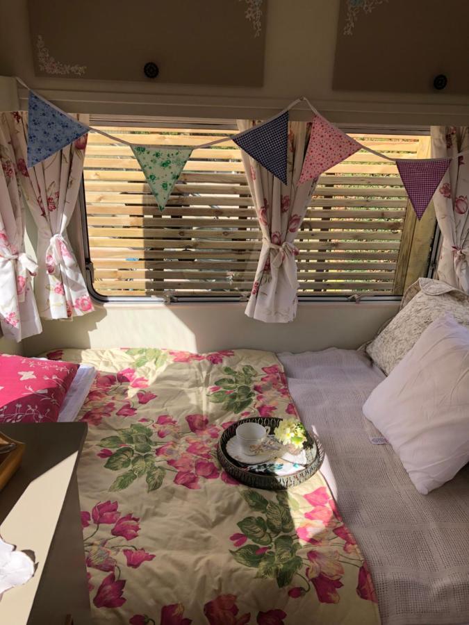 Down The Garden Path Vintage Caravan B&B , Dartmoor Ньютон Эбэт Экстерьер фото