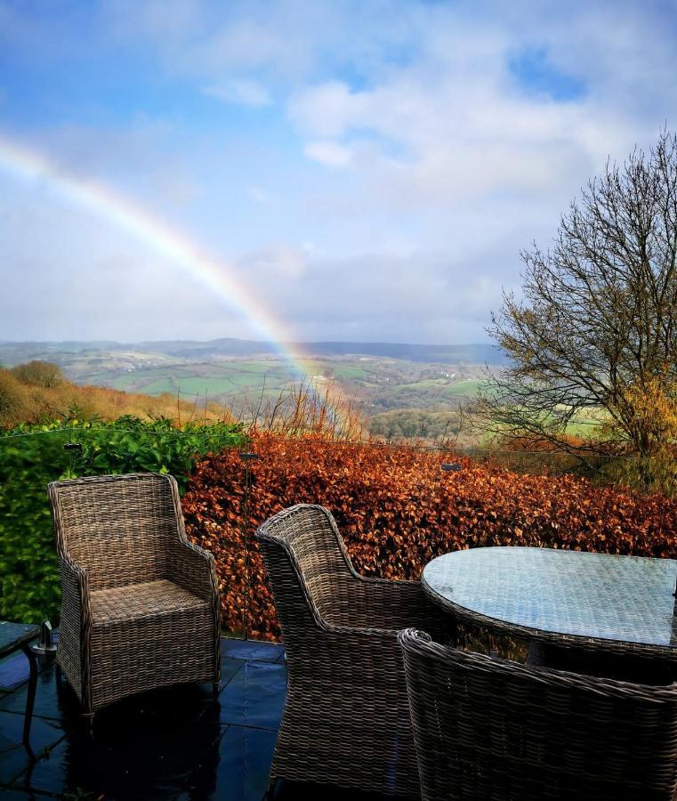 Down The Garden Path Vintage Caravan B&B , Dartmoor Ньютон Эбэт Экстерьер фото